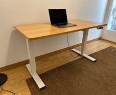 FlexiSpot EQ5 Electric Standing Desk
