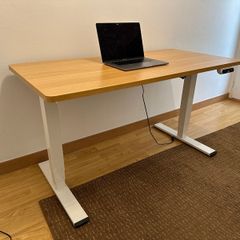 FlexiSpot EQ5 Electric Standing Desk