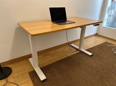 FlexiSpot EQ5 Electric Standing Desk