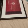 Punjab Poppy - Two Prints in frames 21 inches by 25 inches Image 3