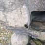 Water Feature Image 2