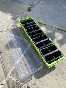 Long Seed Tray