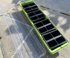 Long Seed Tray