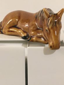 Pony