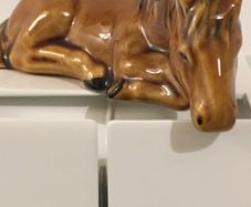 Pony