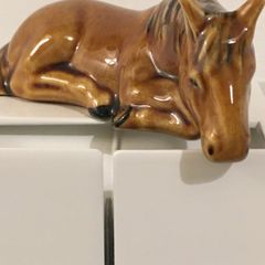 Pony