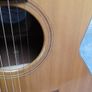 Lowden F12 LR Baggs Anthem Image 5