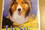 Lassie in the painted hills.