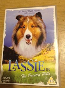 Lassie in the painted hills.