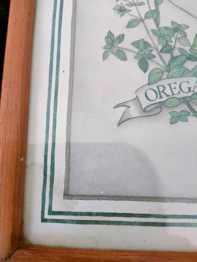 Vintage Herb Botanical pictures