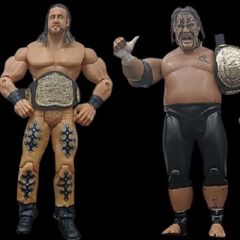 WWE Jakks Pacific Figures