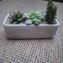 fake plants Image 3