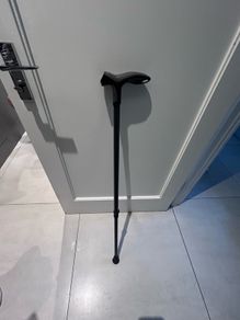 Walking cane
