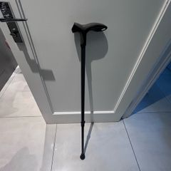 Walking cane