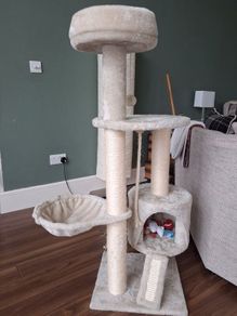 cat tree