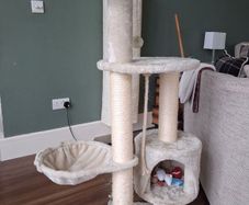cat tree