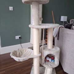 cat tree
