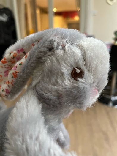 Cute Cuddly Rabbit x 2