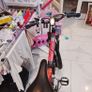 Electric bike Image 2