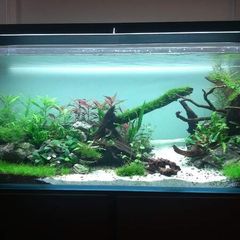 Large Aquarium | 150cm x55 x55 468L | Optiwhite | Braceless Rimless | 15mm thick glass