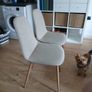 fabric chairs Image 2