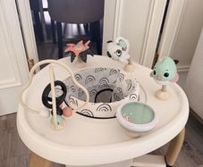 Baby Activity