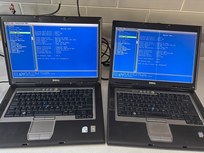 Vintage Dell Latitude