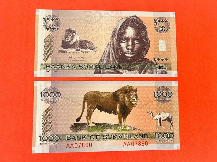 Somaliland 1,000 Shillings   Commemorative. Issue 2006( Unc )