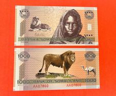 Somaliland 1,000 Shillings   Commemorative. Issue 2006( Unc )