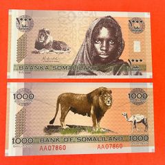 Somaliland 1,000 Shillings   Commemorative. Issue 2006( Unc )