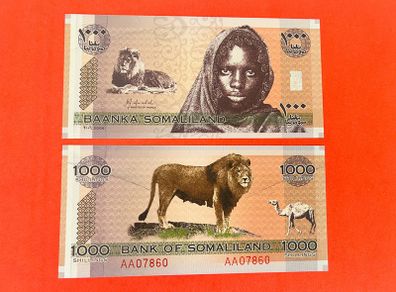 Somaliland 1,000 Shillings   Commemorative. Issue 2006( Unc )
