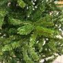 Christmas trees. Image 3