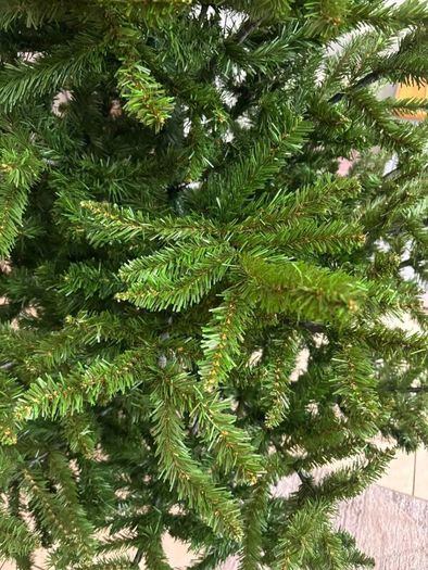 Christmas trees.