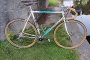 Pinarello Treviso 56cm Campagnolo Record
