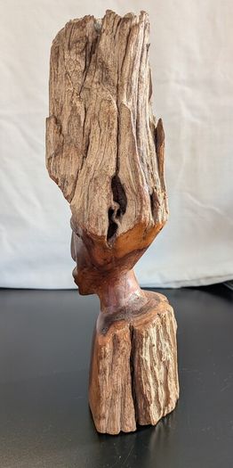 African Burl Wood Head Hand Carved Woman Bust Zambia Style 28cm