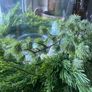 New XL solid washed wood and glass centre piece or hurricane vase Image 2