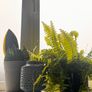 plants Image 4