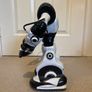 robosapion Image 3