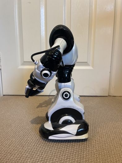 robosapion