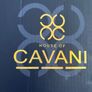 Beautiful tan Cavani boots in box Image 5
