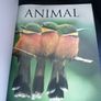 Animal: The Definitive Visual Guide - 1st Edition Image 10