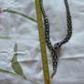 Stunning  necklace Image 6