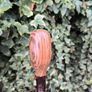 blackthorn walking stick Image 3