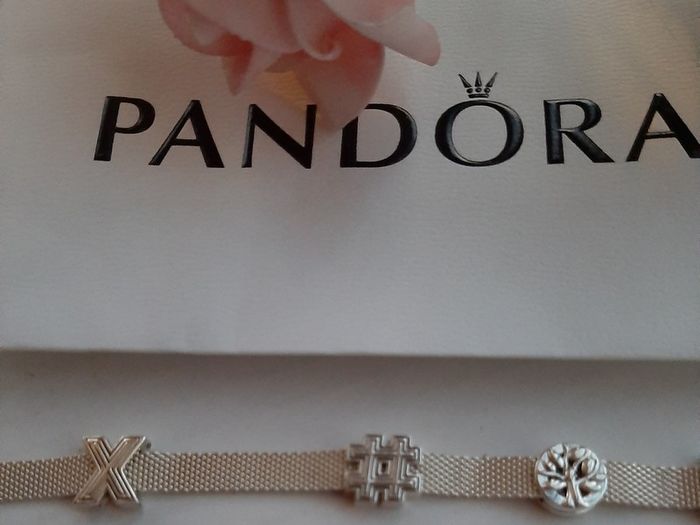 new genuine pandora reflexions charms