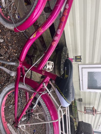 Beautiful 20 inc girls bike