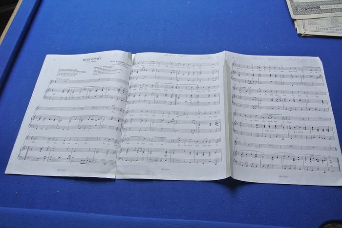 Bois Epais  By  Amadis (sheet Music)