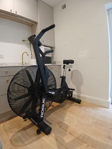 Assault Air Bike - Rogue Echo