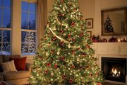 400 LED Christmas Tree Fairy Lights, 16 Strands, 2M, 8 Modes