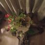 Tree trunk coffee table spectacular Image 4