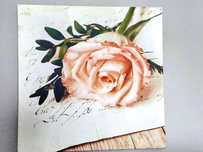 Pretty Acrylic Painting as in photos